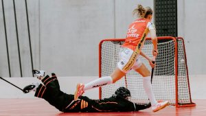 Cómo elegir un floorball