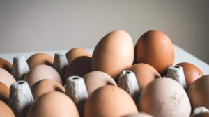 Cómo elegir el hervidor de huevos adecuado: 10 consejos esenciales